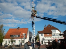 DSCN1213